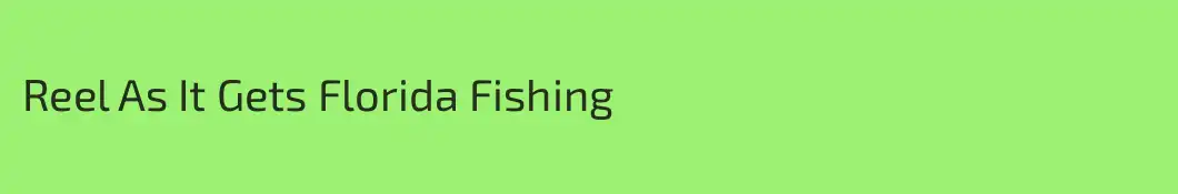 Reel As It Gets Florida Fishing 